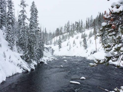 Snowmobiling in Yellowstone National Park, Wyoming - Old Faithful Tour ...