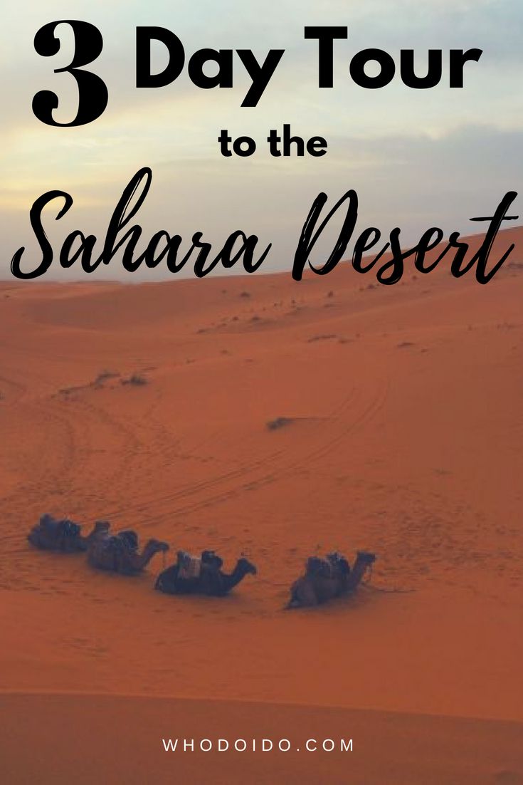 A 3 Day Adventure to the Sahara Desert ⋆ Who do I do